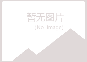 日照岚山浮夸美容有限公司